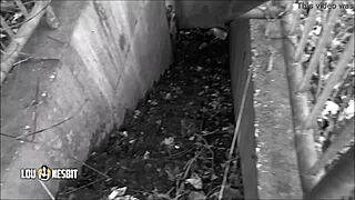 Damn, I spit on your ass in this horror flick!