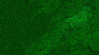 got soaked in jeans, then took a golden shower right on my face