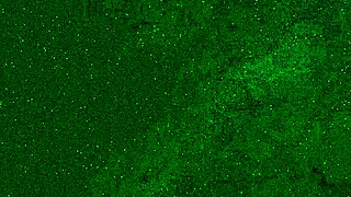 got soaked in jeans, then took a golden shower right on my face