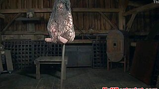 Wanna watch bound sub whipped hard for punishment?