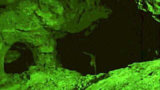 Vintage Halloween Porn with Hairy Beaver