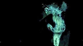 Ever tried vintage blowjobs from a Victorian gentleman's confessions?