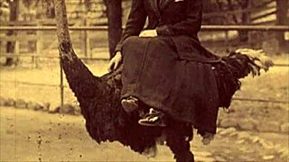 vintage taboo pussy and pooch outdoors