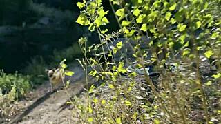 catalan girls kissing and having lesbian sex outdoors 😘