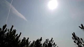 फॉरेस्ट