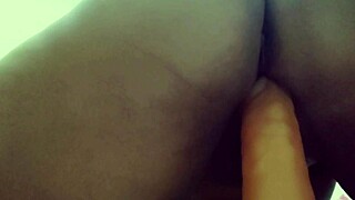 Trailer: Employee of the ex BBB Brazil in belly dance.