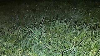 i hid from the rain in an abandoned place to have sex with dirty talk - lesbian illusion girls