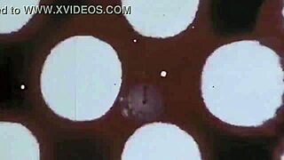 Check out these vintage erotic drawings!