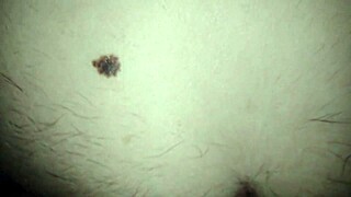 does idabel boza fuck me hard in bisexual anal?