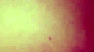 indonesian guy joins neighbor for wild group action and finishes on chest