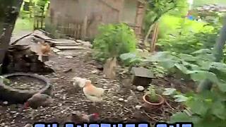 Redhead Milf Sucking on a Hard Cock in Intense Blowjob Scene