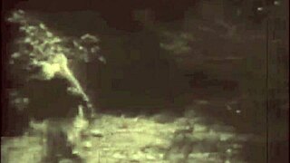 Dark Lantern Entertainment Unveils Stunning Beauty and the Beast Retro Tale.