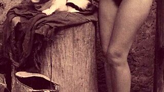 Dark Lantern Entertainment Unveils Stunning Beauty and the Beast Retro Tale.