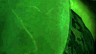 Ada Battles Tyrant in Wicked Pounding 3D