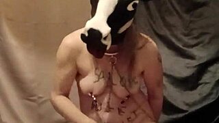 I humiliated my housewife slave with anal toys