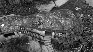 Is this brazilian babe ready for that monster cock pounding her big ass and tits?