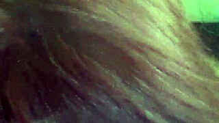 trimmed video file from the collection