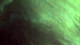 trimmed video file from the collection