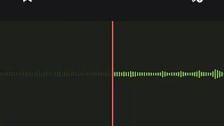 Incredible Neighbor Audio!