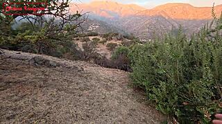 Land Sold In Exchange For Trailer