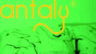 riding a trans sex doll for the first time in my life selena vega reviews sarina from tantaly