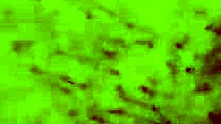 Cute teen rides tight pussy in close-up amateur video