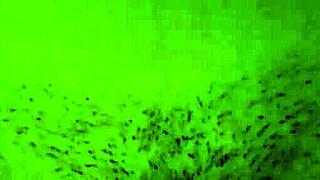 Cute teen rides tight pussy in close-up amateur video