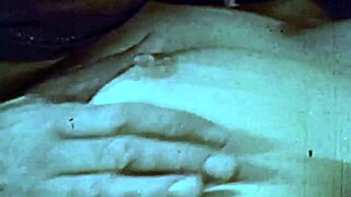 vintage dark lantern showcases london company secretary life