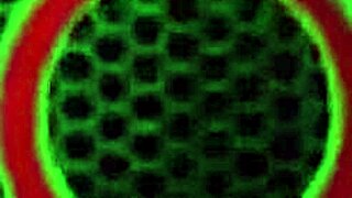 British Sophie Dee Drills Pussy with Dildo