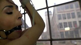 Skinny Ashley Is Hogtied And Dominated By A Machine In Intense Bondage Session With Mistress