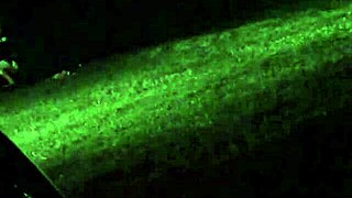 spying on my wife while she cheats on me