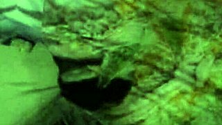 Breed whore filled with cum! Slapped and creampied hard!