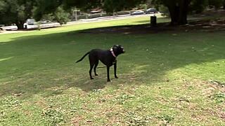 i'm a lesbian looking for another to dive into my pussy and tits