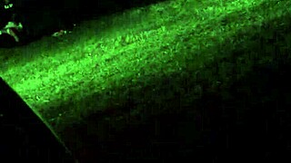 spying on my wife while she cheats on me