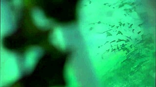 Taylor Rain Assfucked By Cheyne Collins In Outdoor Bent Over Anal