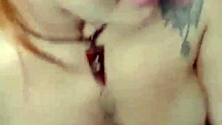 Chupando a rola mucha do guia