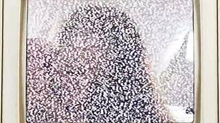 Minnie Rose gets a deepthroat blast in latex gloves