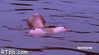 Is this tossed up hotty ready for her nasty punishment in the garage?