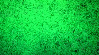 Panties Try On Haul Thong Ass Shaking