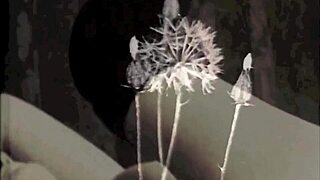 Vintage Interracial Fucking Blowjob In Erotic Confessions