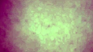 Eating Black Woman's Ass at São João