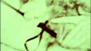 Vintage Interracial Fucking Blowjob In Erotic Confessions