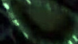 Very late at night, i was woken up to suck cock and spread ass