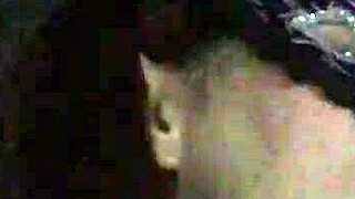 Very late at night, i was woken up to suck cock and spread ass