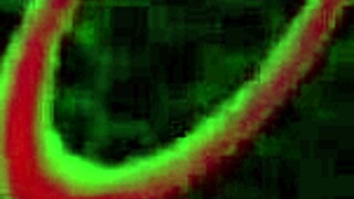 i'm busty milf nina dolci riding rome majors cock to orgasm and getting jizzed