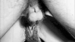 dark lantern entertainment presents vintage erotic confessions