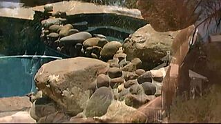 Milf Lena Rides Cock Outside In Fishnets And Heels Before Facial Cumshot