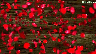 chico de xvideos me quita la tanga en el hotel para meter su verga en mi vagina deseosa