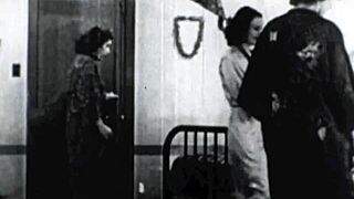 dark lantern entertainment presents two centuries of vintage porn... ohh, with retro lesbian hairy beaver