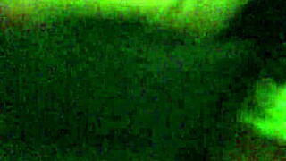 i feel so aroused by this fat booty shaking wildly